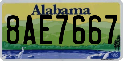 AL license plate 8AE7667