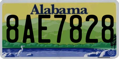 AL license plate 8AE7828