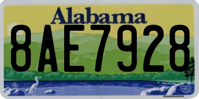 AL license plate 8AE7928