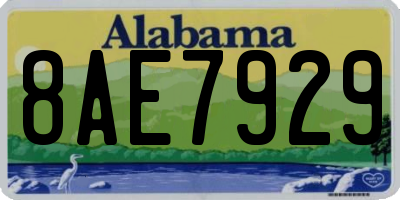 AL license plate 8AE7929