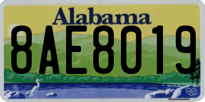 AL license plate 8AE8019