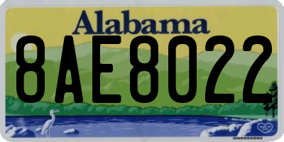 AL license plate 8AE8022