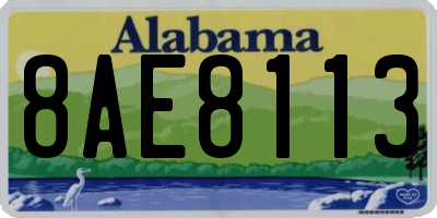 AL license plate 8AE8113