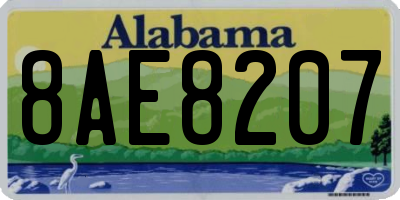 AL license plate 8AE8207