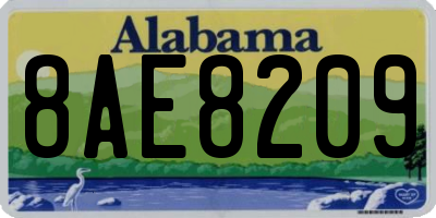 AL license plate 8AE8209