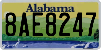 AL license plate 8AE8247