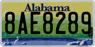 AL license plate 8AE8289