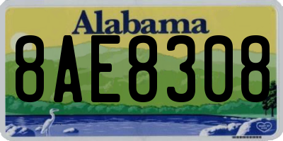 AL license plate 8AE8308