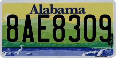 AL license plate 8AE8309