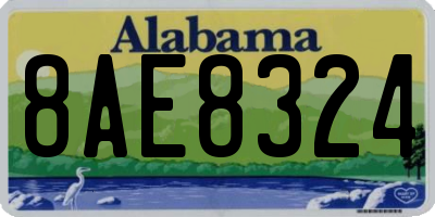 AL license plate 8AE8324