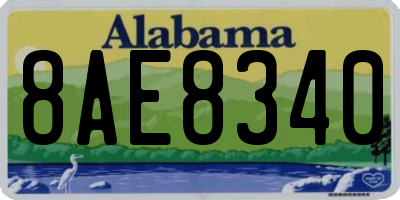 AL license plate 8AE8340