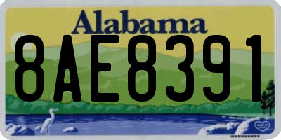 AL license plate 8AE8391