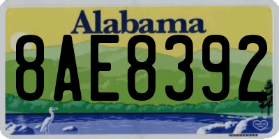 AL license plate 8AE8392