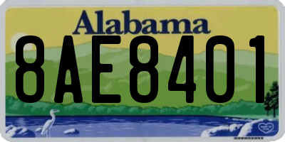 AL license plate 8AE8401