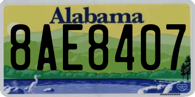 AL license plate 8AE8407