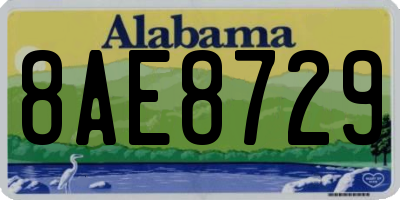 AL license plate 8AE8729