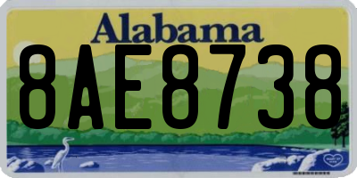 AL license plate 8AE8738