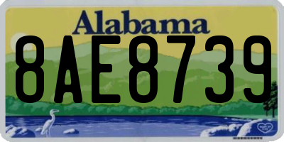 AL license plate 8AE8739