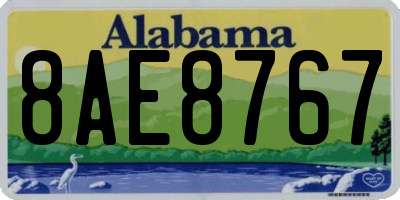 AL license plate 8AE8767