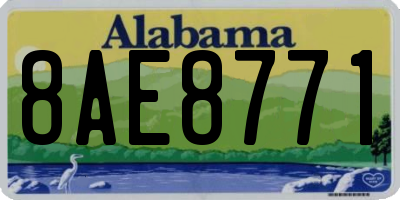 AL license plate 8AE8771