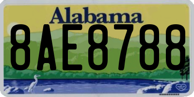 AL license plate 8AE8788