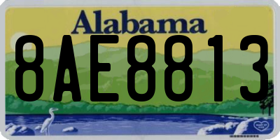 AL license plate 8AE8813