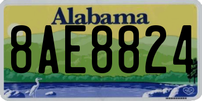 AL license plate 8AE8824