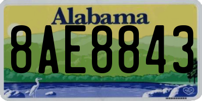 AL license plate 8AE8843