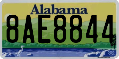 AL license plate 8AE8844