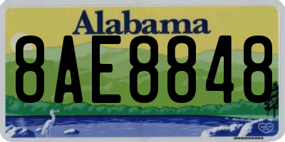 AL license plate 8AE8848