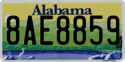 AL license plate 8AE8859