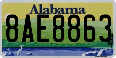 AL license plate 8AE8863