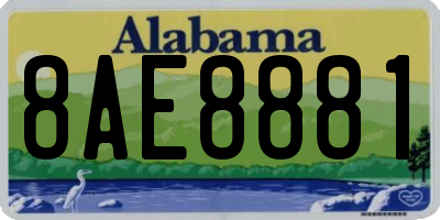 AL license plate 8AE8881