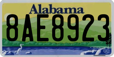 AL license plate 8AE8923
