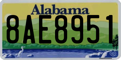 AL license plate 8AE8951