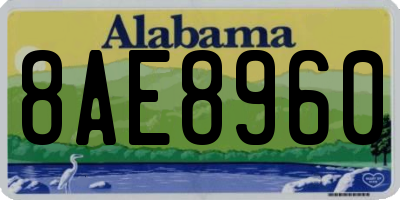 AL license plate 8AE8960