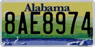 AL license plate 8AE8974