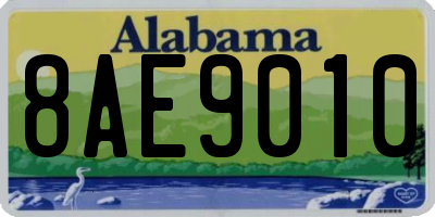 AL license plate 8AE9010