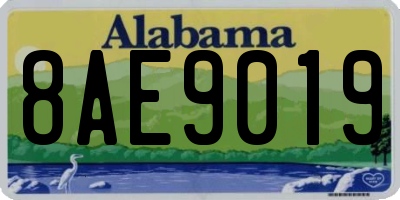 AL license plate 8AE9019