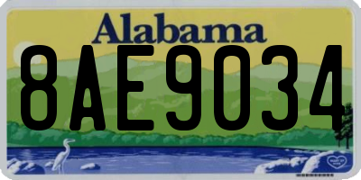 AL license plate 8AE9034