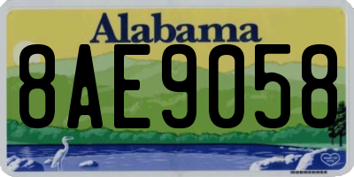 AL license plate 8AE9058