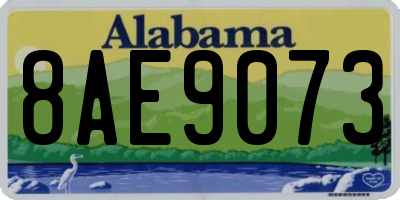 AL license plate 8AE9073