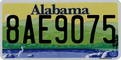 AL license plate 8AE9075