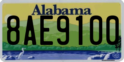 AL license plate 8AE9100