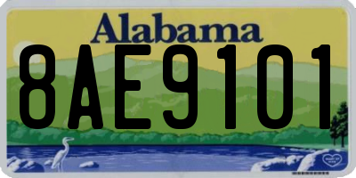 AL license plate 8AE9101