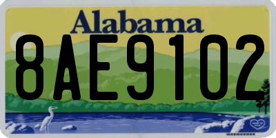 AL license plate 8AE9102