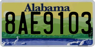 AL license plate 8AE9103