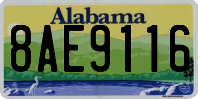 AL license plate 8AE9116
