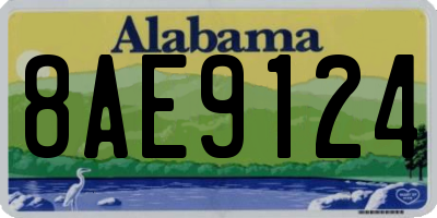 AL license plate 8AE9124