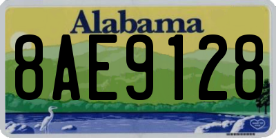 AL license plate 8AE9128